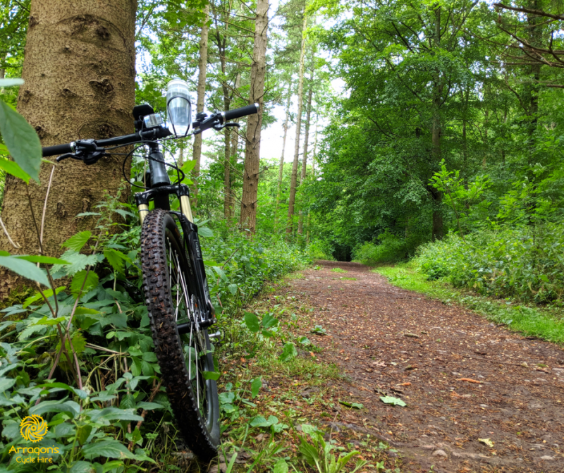 Bike Hire Trails