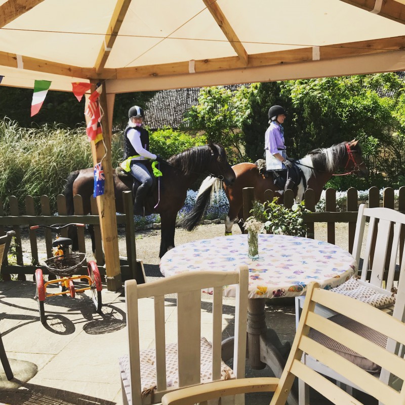 Friendly visitors to our Garden Terrace